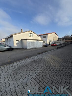 Gewerbliches Entwicklungsprojekt mit KFZ-Werkstatt, Hallenflächen und zusätzlichem Baugrundstück, 75334 Straubenhardt / Feldrennach, Werkstatt